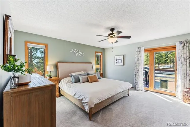 18360 Trail West Drive Buena Vista, CO 81211