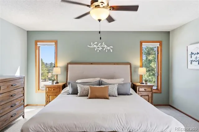 18360 Trail West Drive Buena Vista, CO 81211