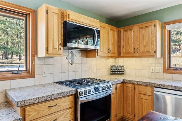 18360 Trail West Drive Buena Vista, CO 81211