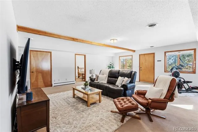 18360 Trail West Drive Buena Vista, CO 81211