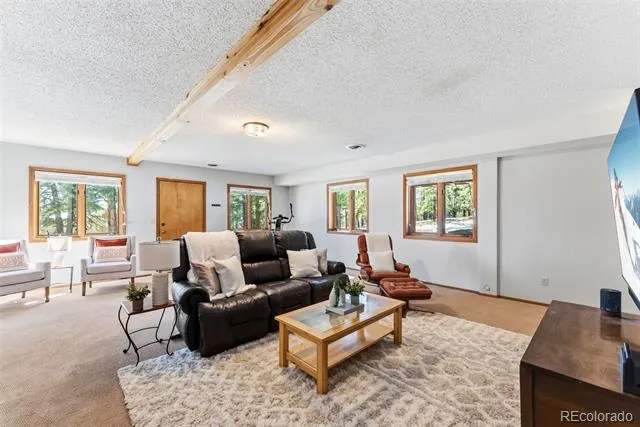 18360 Trail West Drive Buena Vista, CO 81211