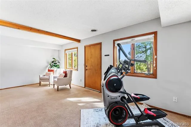 18360 Trail West Drive Buena Vista, CO 81211
