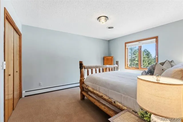 18360 Trail West Drive Buena Vista, CO 81211