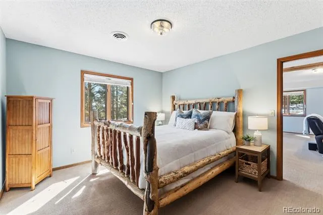 18360 Trail West Drive Buena Vista, CO 81211