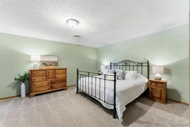 18360 Trail West Drive Buena Vista, CO 81211