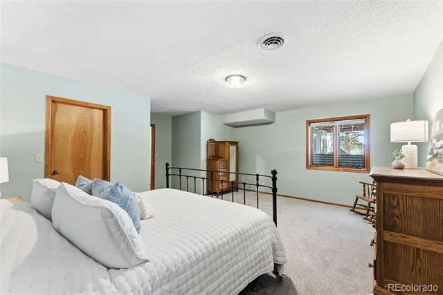18360 Trail West Drive Buena Vista, CO 81211