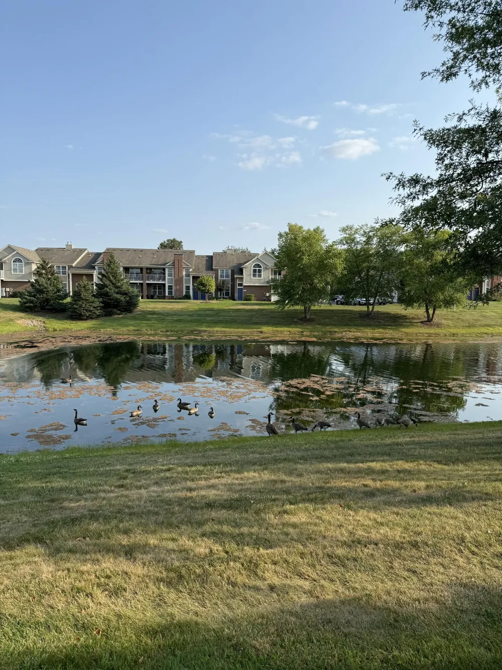 2260 Leighton Drive #68 Shelby, MI 48317