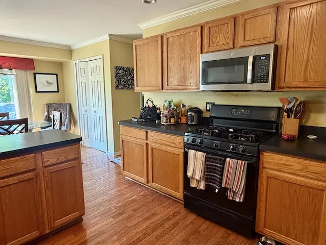 2817 Windside Court Ann Arbor, MI 48103