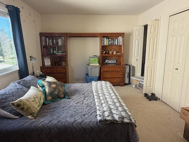 2817 Windside Court Ann Arbor, MI 48103