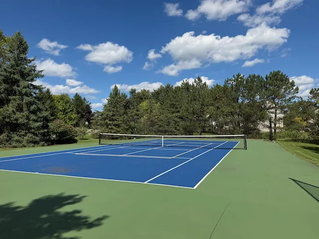2817 Windside Court Ann Arbor, MI 48103