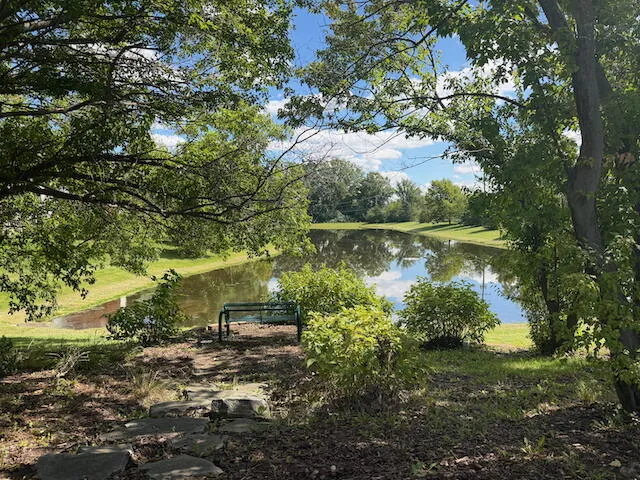 2817 Windside Court Ann Arbor, MI 48103