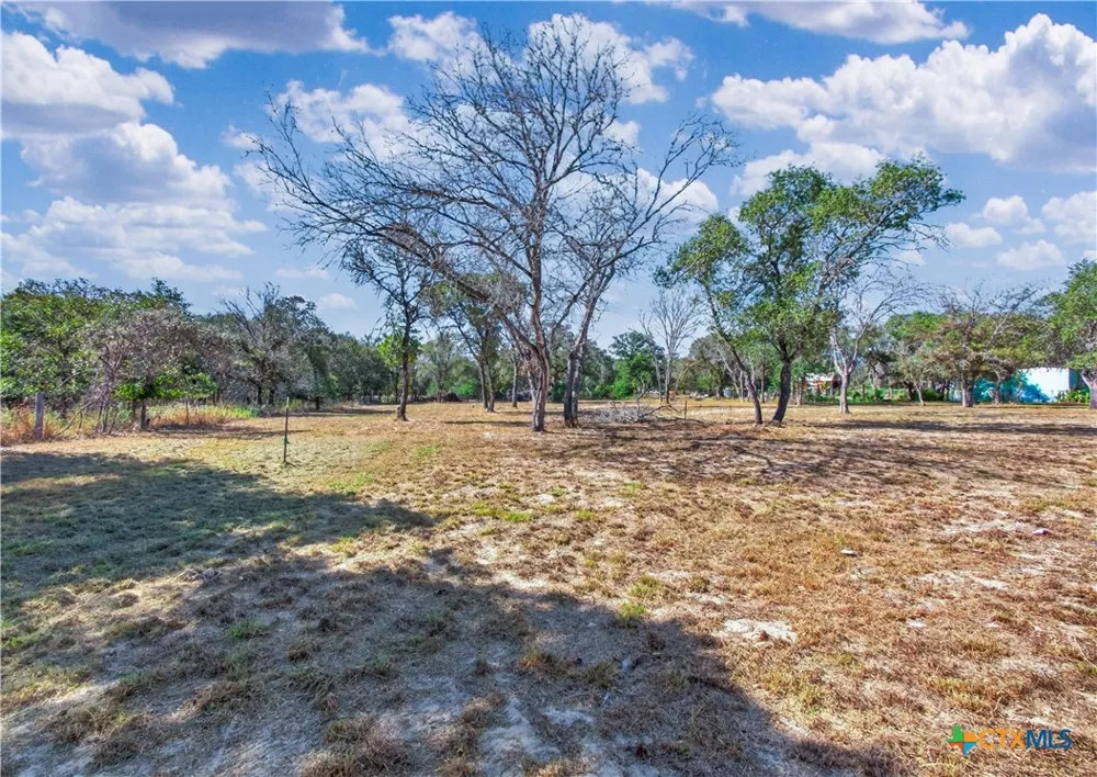 209 Sandy Oaks Drive Seguin, TX 78155