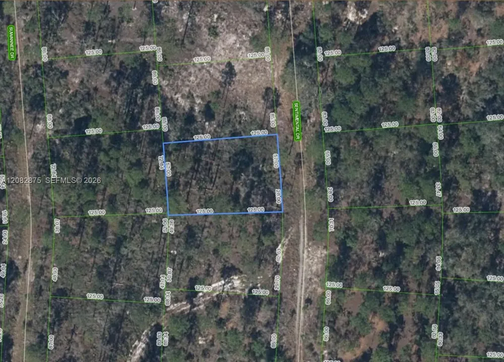264 Sentimental Dr Lake Placid, FL 33852