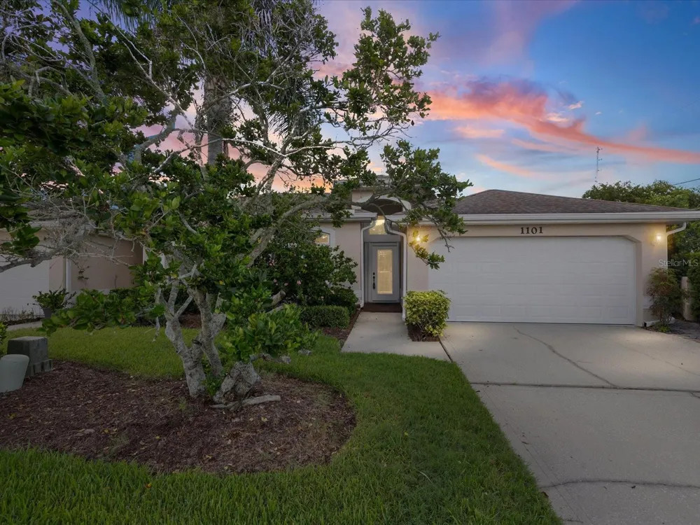 1101 HALEY LANE Dunedin, FL 34698