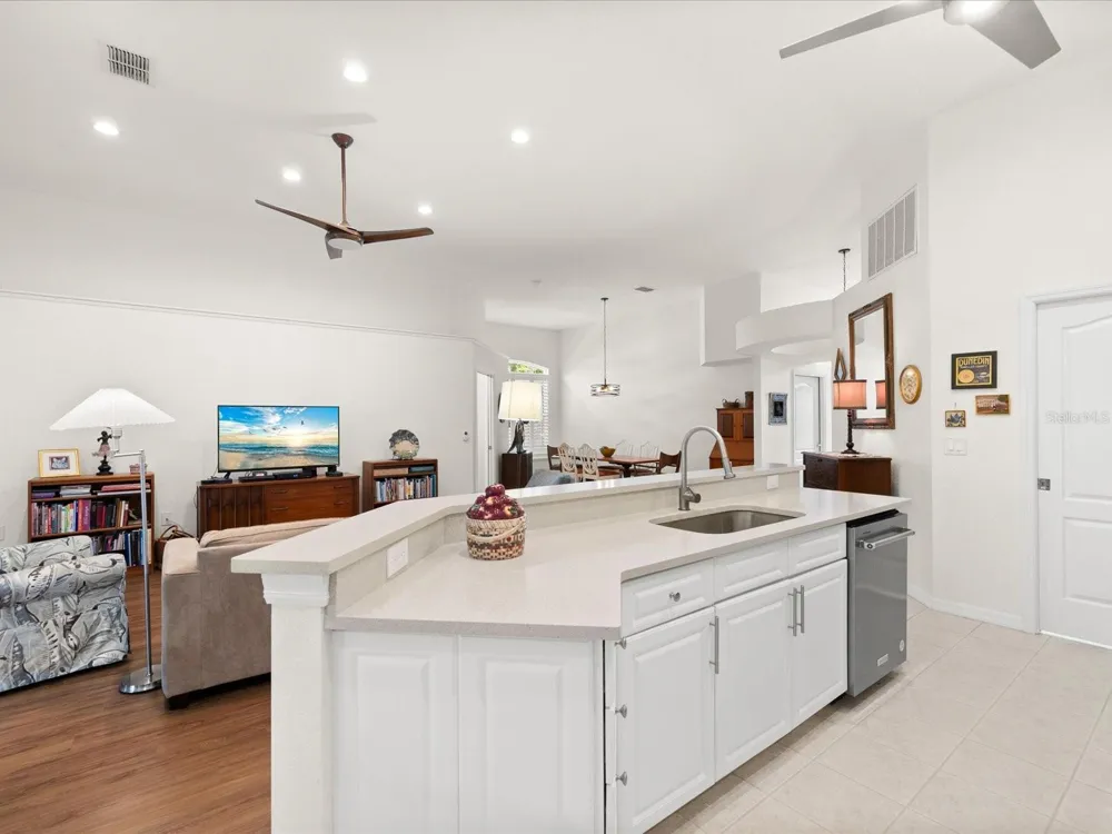 1101 HALEY LANE Dunedin, FL 34698
