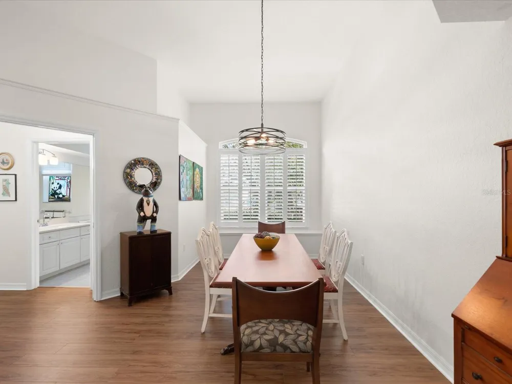 1101 HALEY LANE Dunedin, FL 34698