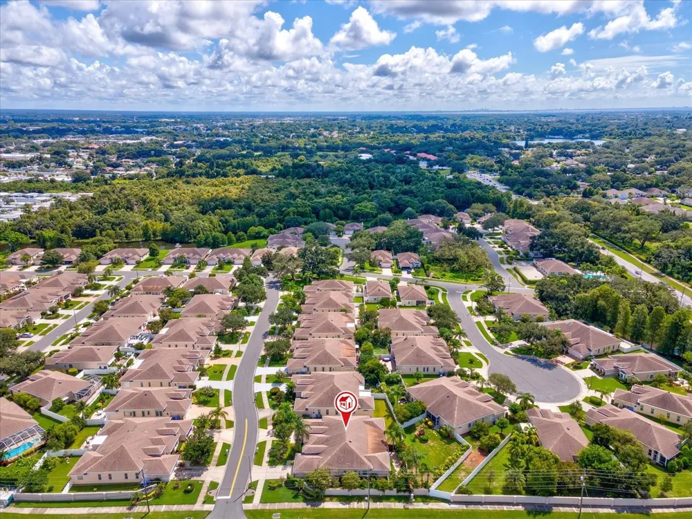 1101 HALEY LANE Dunedin, FL 34698