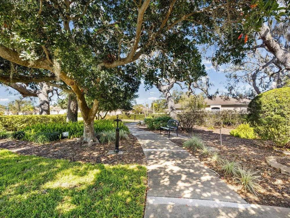 1101 HALEY LANE Dunedin, FL 34698
