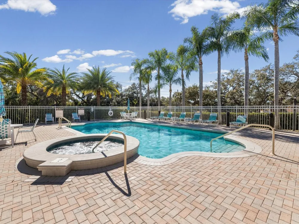 1101 HALEY LANE Dunedin, FL 34698