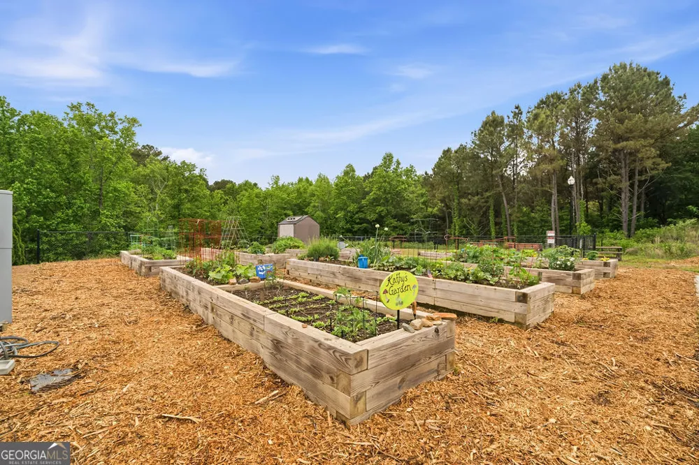 167 Mountain BLVD Jasper, GA 30143