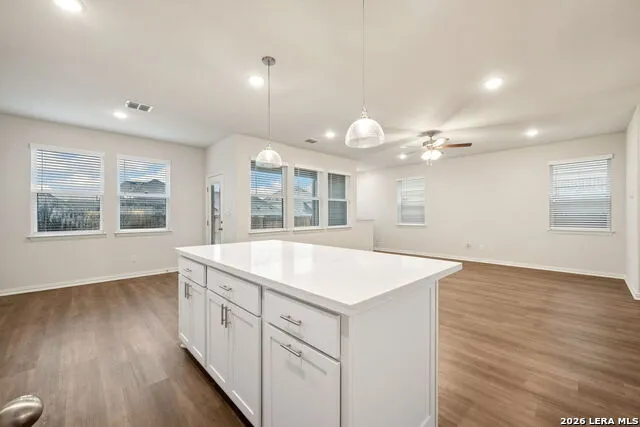 2038 FLAMETREE AVE New Braunfels, TX 78132