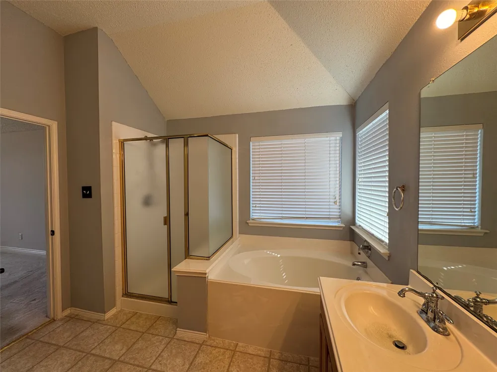 442 Trinity Drive Allen, TX 75002