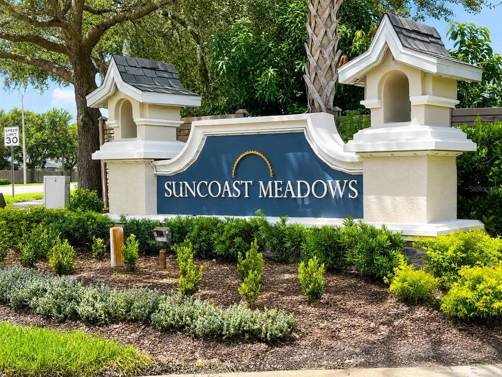 3207 CLOVER BLOSSOM CIRCLE Land O Lakes, FL 34638