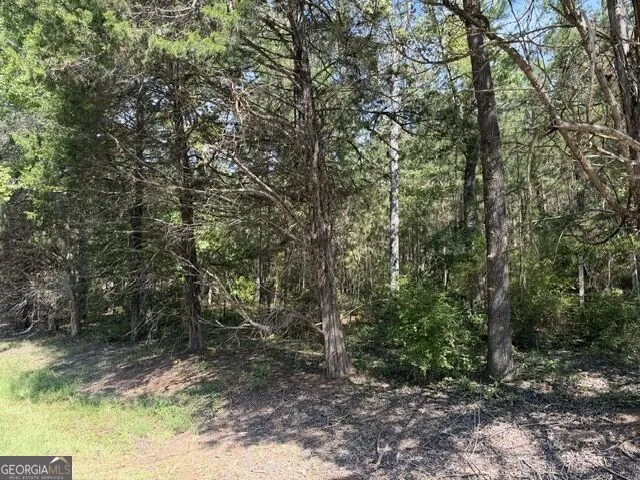 462 Amaryllis DR Sparta, GA 31087