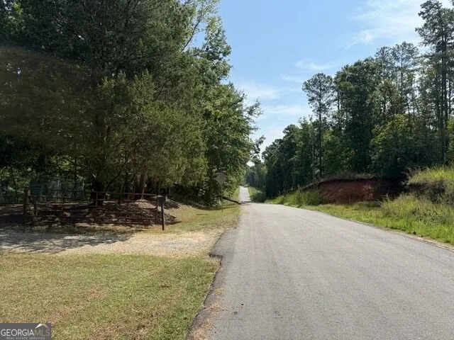 462 Amaryllis DR Sparta, GA 31087