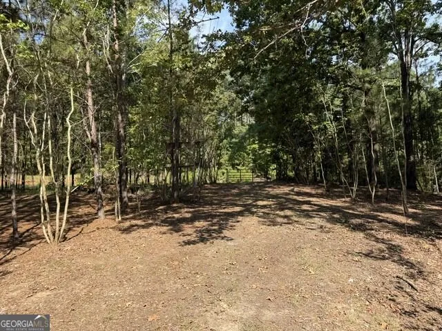 462 Amaryllis DR Sparta, GA 31087