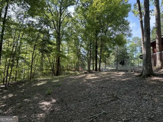 462 Amaryllis DR Sparta, GA 31087