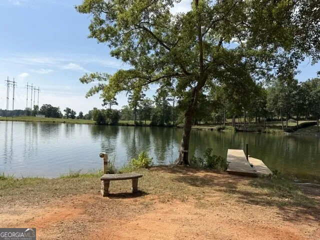 462 Amaryllis DR Sparta, GA 31087