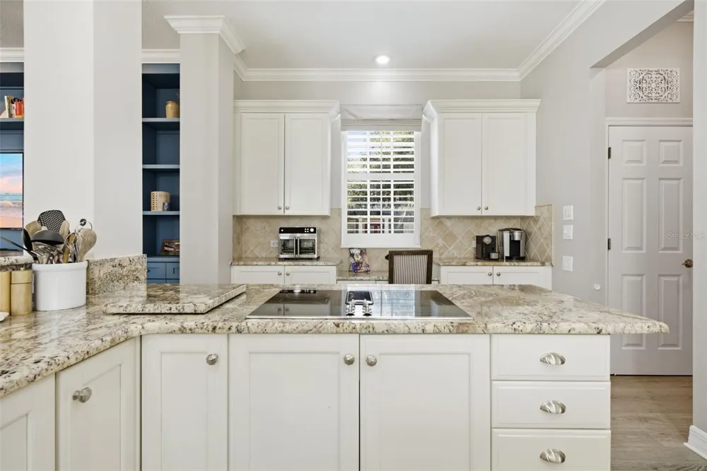 10438 GREEN LINKS DRIVE Tampa, FL 33626