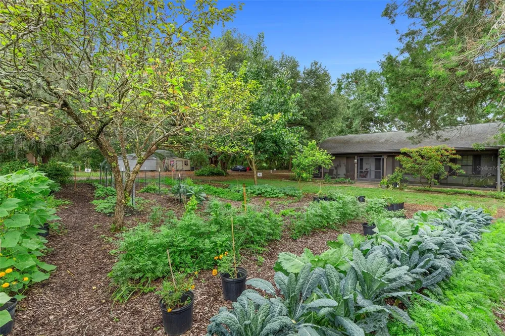 2016 LEWIS ROAD Leesburg, FL 34748