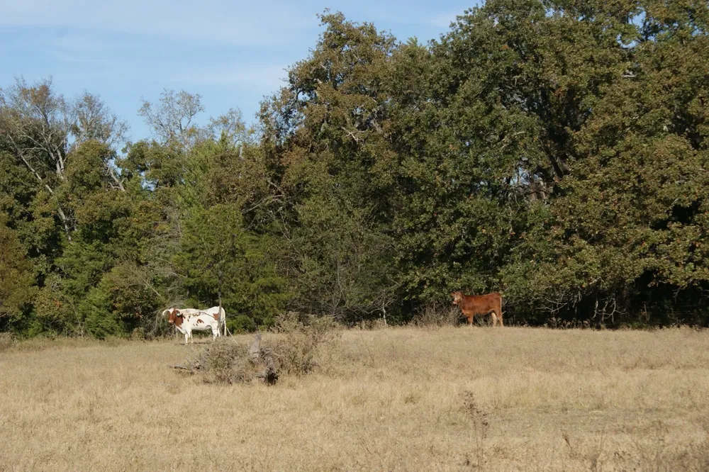 13733 County Road 109 Kaufman, TX 75142