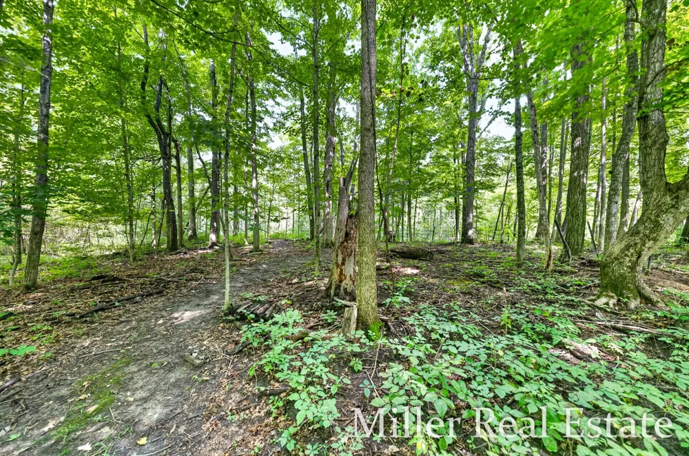 4695 Farrel Road Hastings, MI 49058