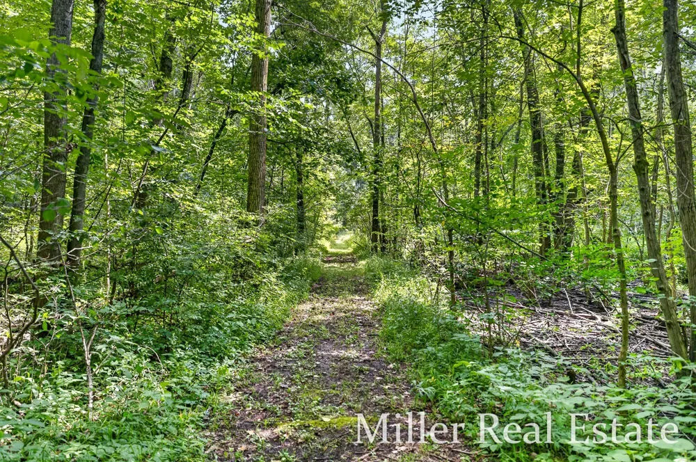 4695 Farrel Road Hastings, MI 49058