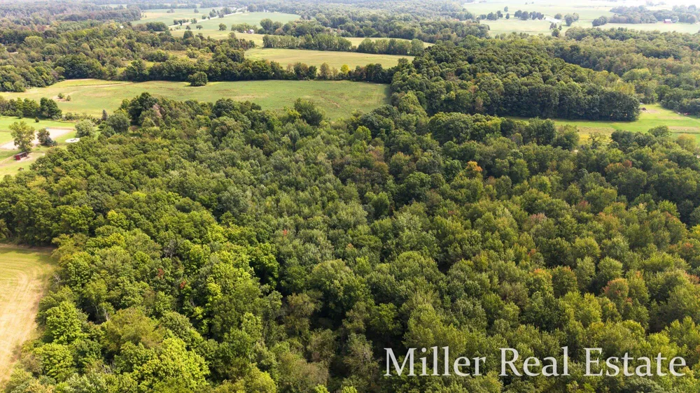 4695 Farrel Road Hastings, MI 49058