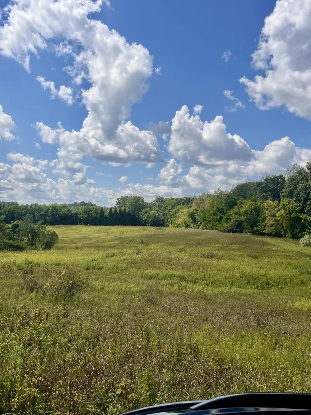 2260 Gibbs Road Albion, MI 49224