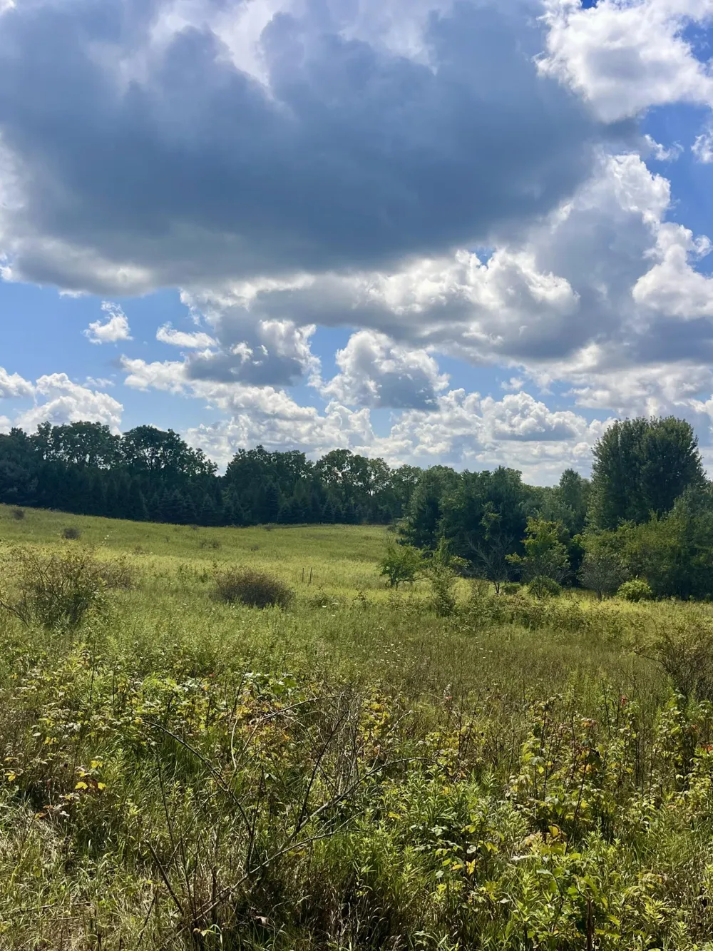 2260 Gibbs Road Albion, MI 49224