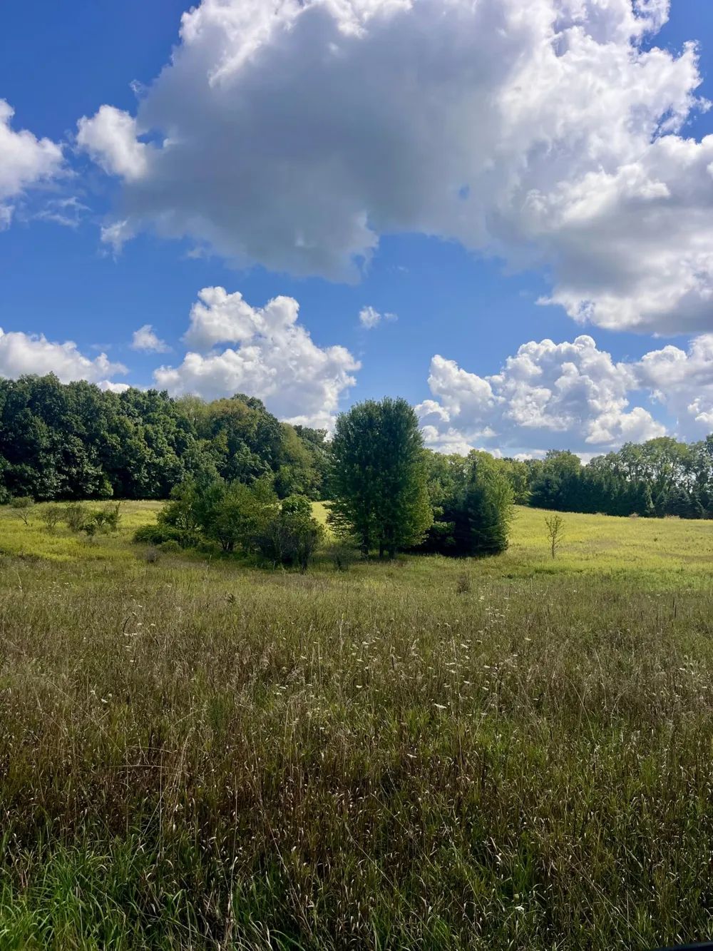 2260 Gibbs Road Albion, MI 49224