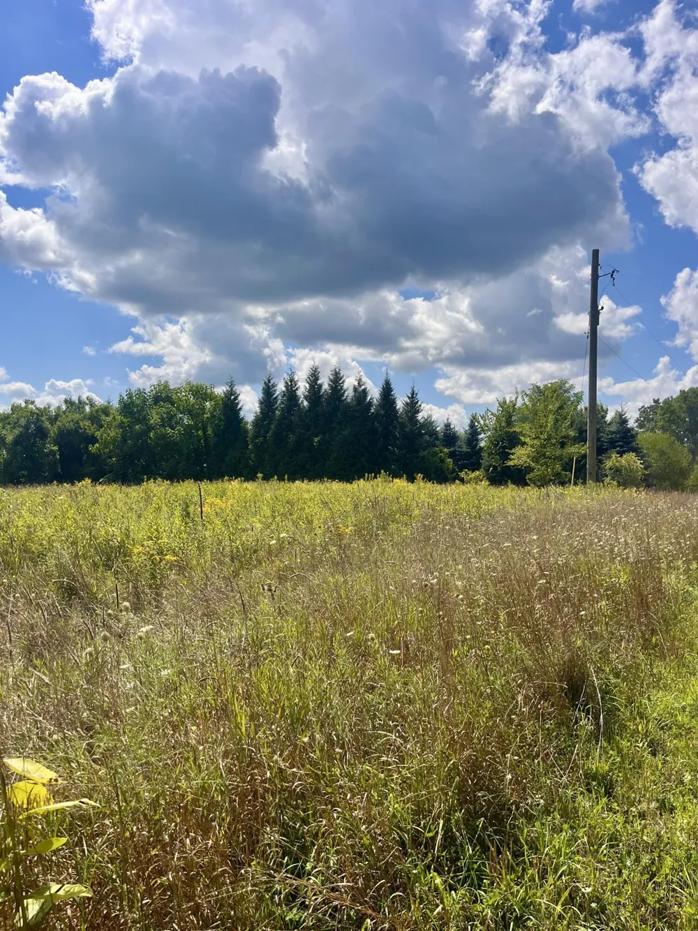 2260 Gibbs Road Albion, MI 49224