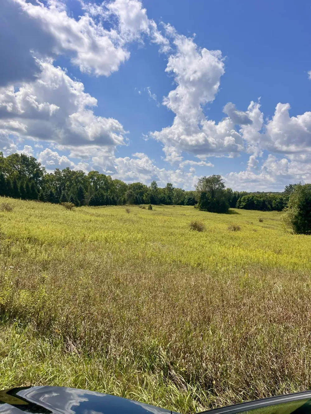 2260 Gibbs Road Albion, MI 49224
