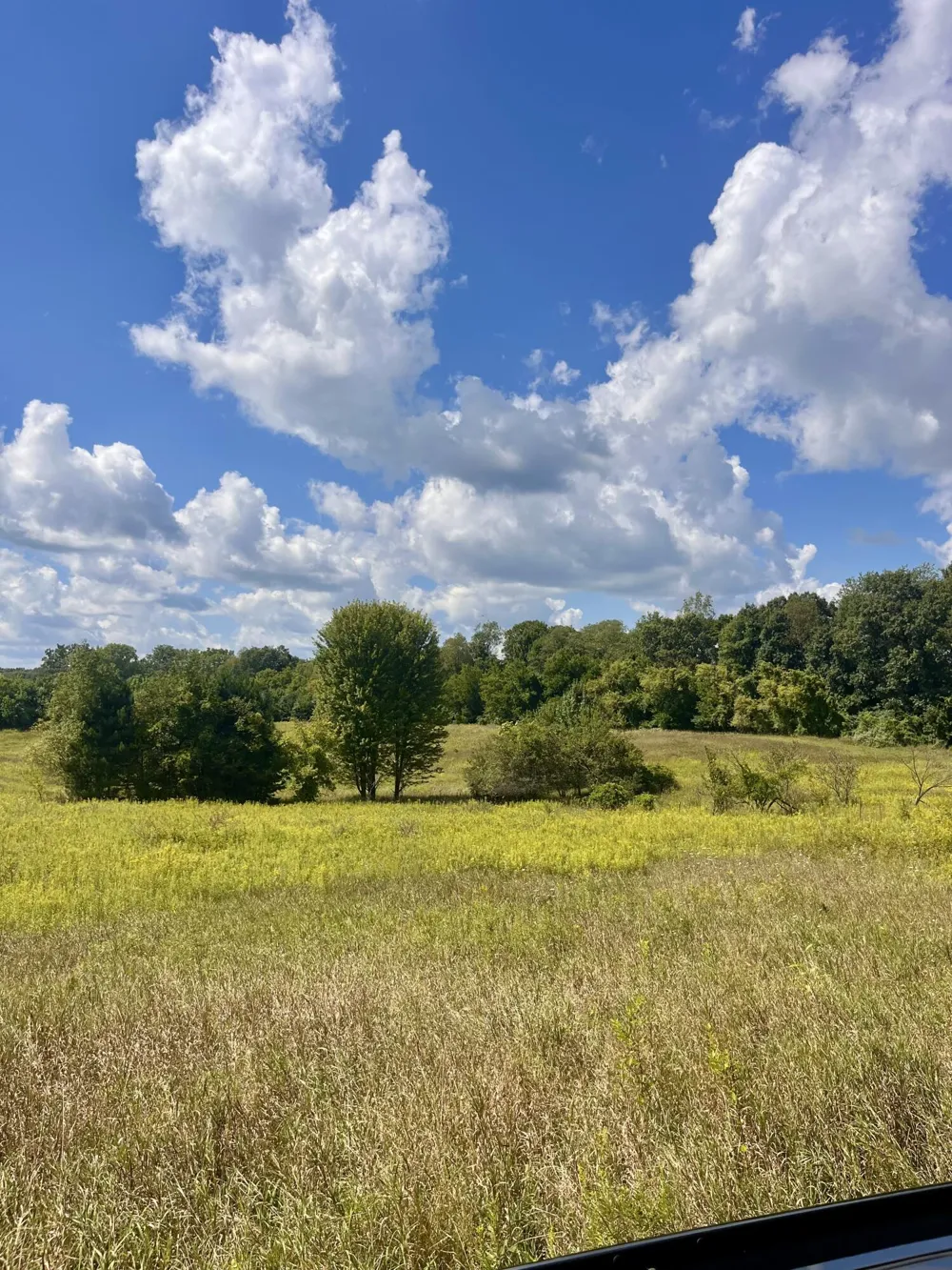 2260 Gibbs Road Albion, MI 49224