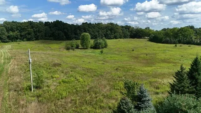 2260 Gibbs Road Albion, MI 49224