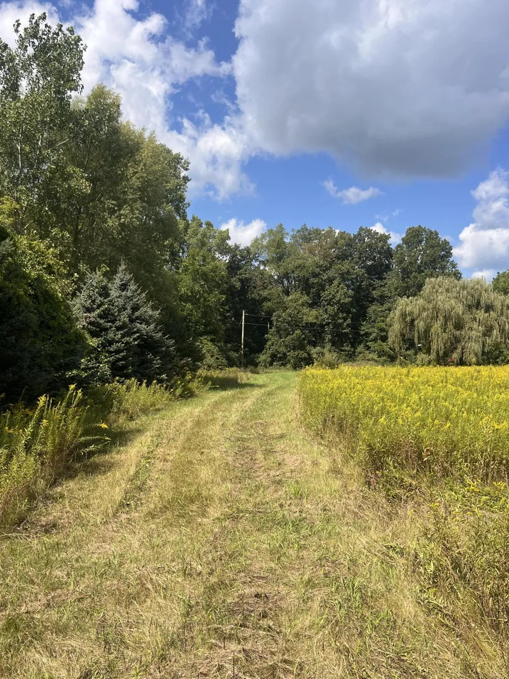 2260 Gibbs Road Albion, MI 49224