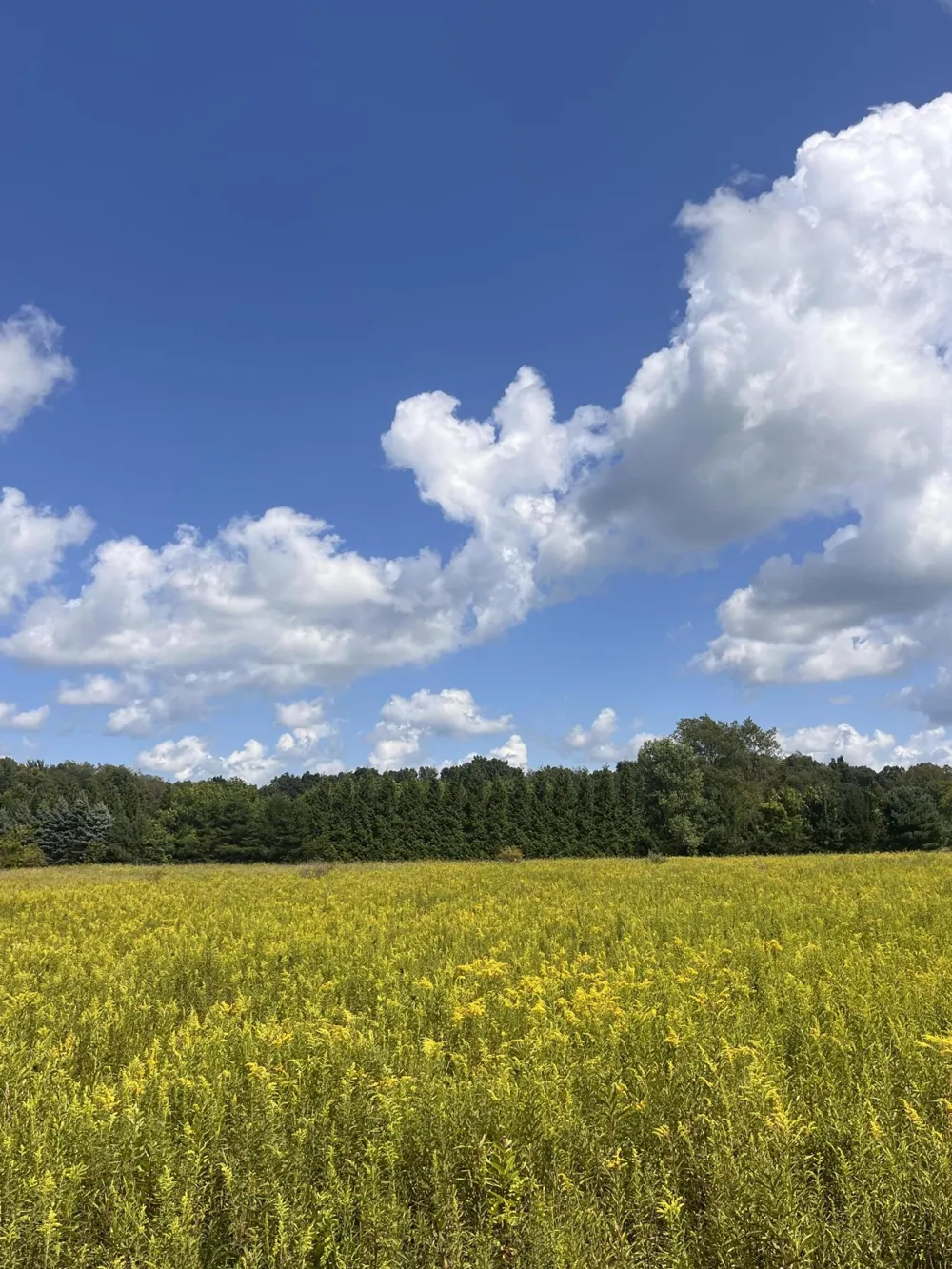 2260 Gibbs Road Albion, MI 49224