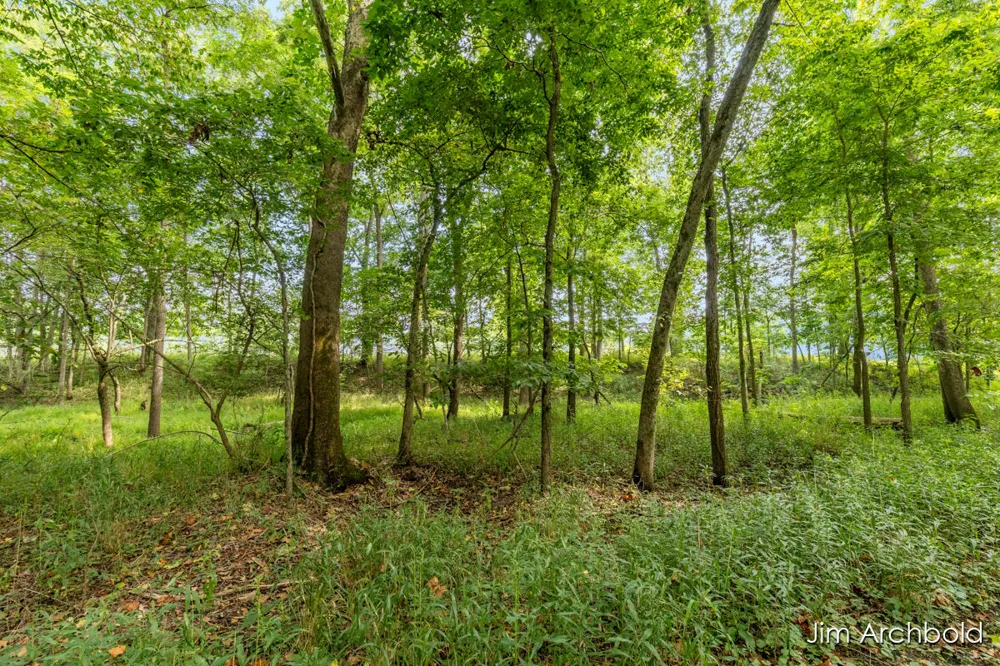 Benzel Ct #Parcel 2 Hastings, MI 49058