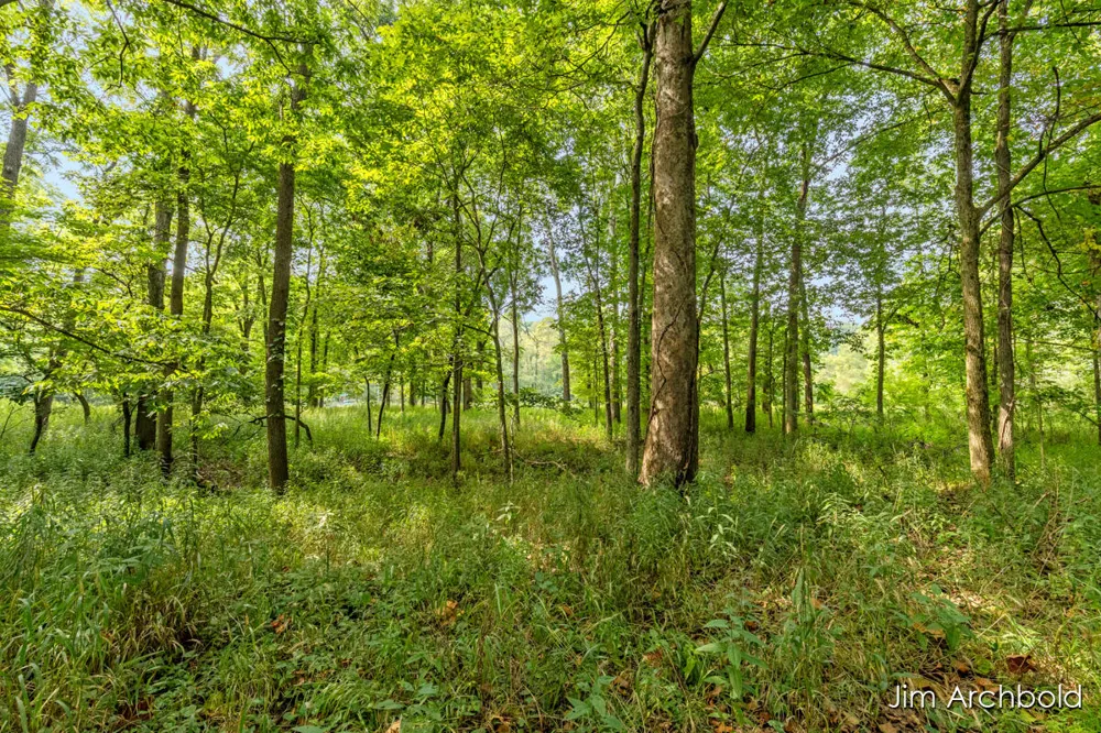Benzel Ct #Parcel 2 Hastings, MI 49058