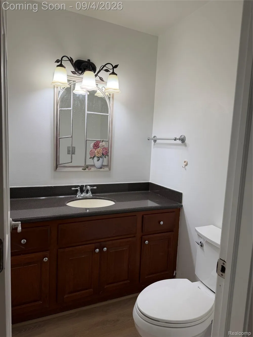 1594 Arbor Creek Drive Rochester Hills City, MI 48306